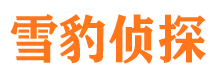 大安区市侦探公司